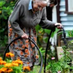 I Tried to Teach My Elder Neighbor a Lesson after She Trampled My Flowers and Stole My Water, but She Outplayed Me