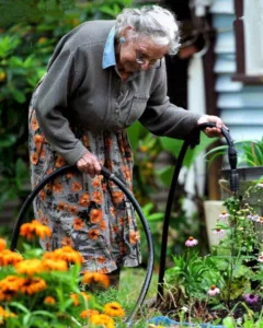 I Tried to Teach My Elder Neighbor a Lesson after She Trampled My Flowers and Stole My Water, but She Outplayed Me