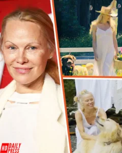 Pamela Anderson Sold Home for $11.8M to Live Alone with 5 Dogs in Grandparents Former Farm Home — A Look Inside