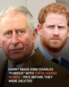 Prince Harry’s Bold Statement That Infuriated King Charles & Brother William Deleted from Royal Family’s Website